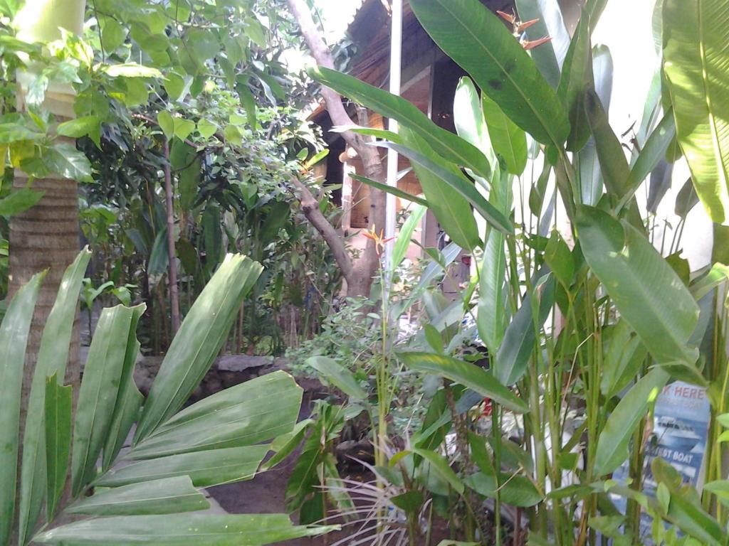 Solaluna Beach Homestay Amed  Exterior photo